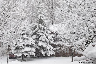 Patrick Blouin Photographe Amateur D Cembre C Est L Hiver