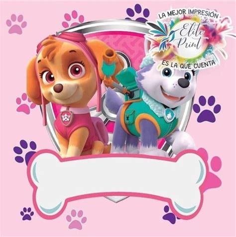 Fondo Paw Patrol Fiesta Infantil Paw Patrol Tarjetas De Cumplea Os