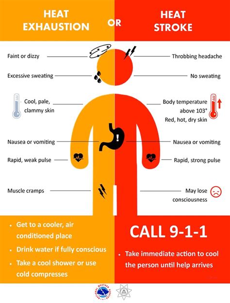 Summer Heat Safety Printable