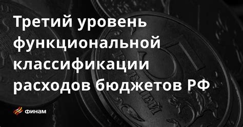 Третий уровень функциональной классификации расходов бюджетов РФ основные понятия и термины