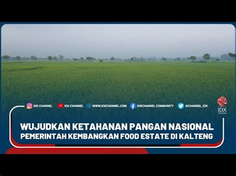 WUJUDKAN KETAHANAN PANGAN NASIONAL PEMERINTAH KEMBANGKAN FOOD ESTATE