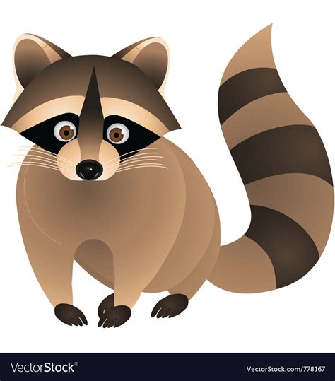 Raccoon cartoon Royalty Free Vector Image - VectorStock