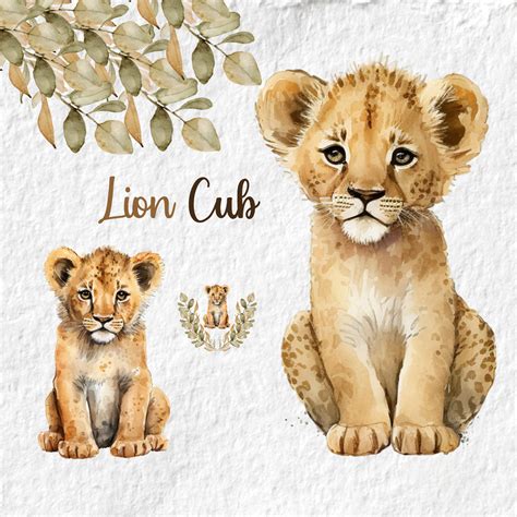 Lion Cub Clipart, Baby Lion Watercolor Clipart, Birthday Baby Shower Graphics, Big Cat African ...