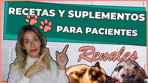 Tu Perro Sufre De Insuficiencia Renal Descubre La Soluci N Comida