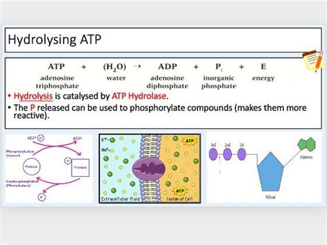 atp water inorganic ions  lessons teaching resources