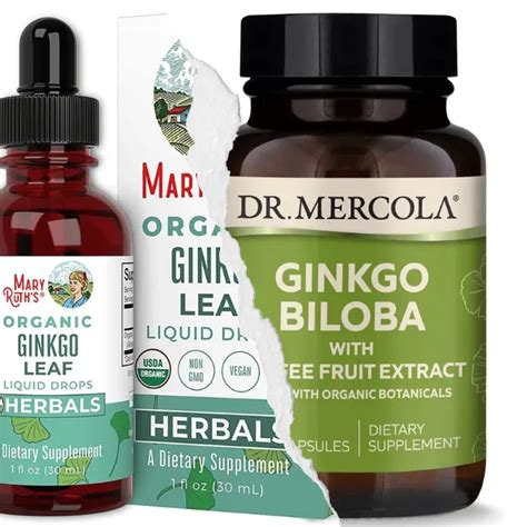 6 Best Ginkgo Biloba Supplement Brands Highend Reports