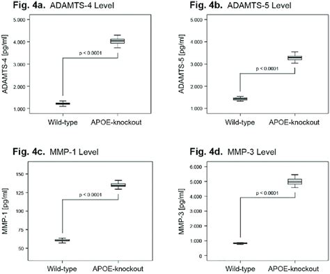 Increased Levels Of Catabolic Factors Adamts And Mmp In Np