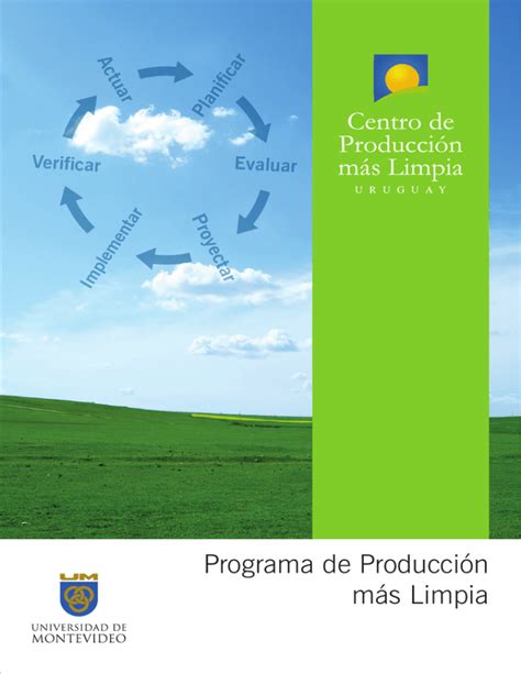 Programa de Producción más Limpia