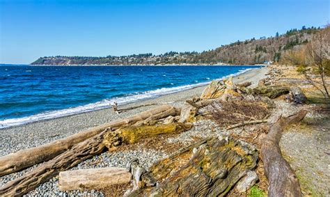 15 Best Beaches in Washington State | PlanetWare