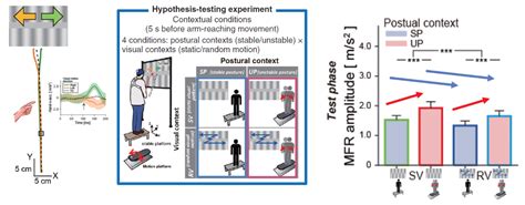 Elucidating The Relationship Between Implicit Quick Manual Reactions