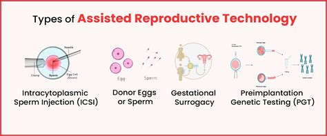 What Is Assisted Reproductive Technology Imprimis Ivf