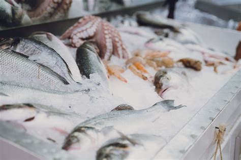 Fisch Richtig Auftauen Fisch Feinkost Klaassen Magazin