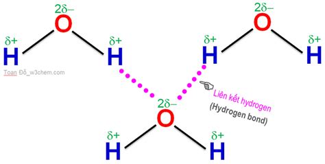 Hướng dẫn Vẽ sơ đồ biểu diễn liên kết hydrogen cho học sinh cấp 2