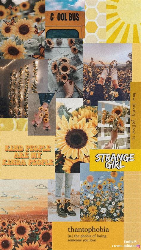 Aesthetic Sunflower Sunflower Aesthetic Collage Hd Phone Wallpaper