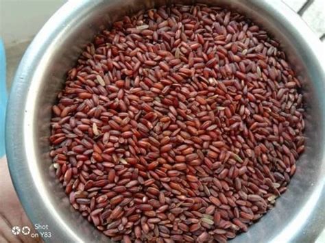 Red Kavuni Rice Packet At Rs Kg In Thanjavur Id