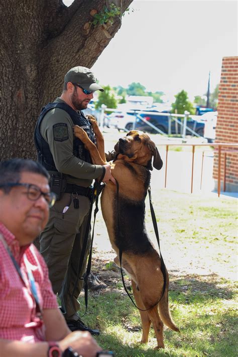 Baytown - End of Watch: K9 Hamilton May 9, 2025 K9 Hamilton