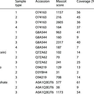 Sds Page Analysis Of Fungal Extracts A Sds Page Gel Showing Bands Of