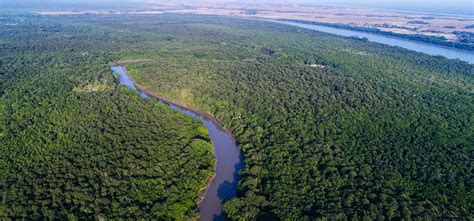 Bhitarkanika National Park - FOTIS EDU