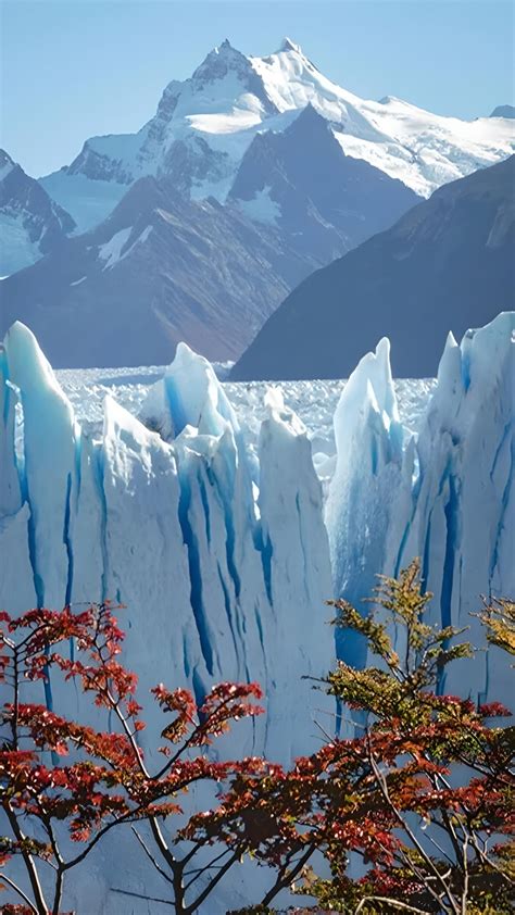 El Calafate Y Ushuaia Padtravel Tur Ar