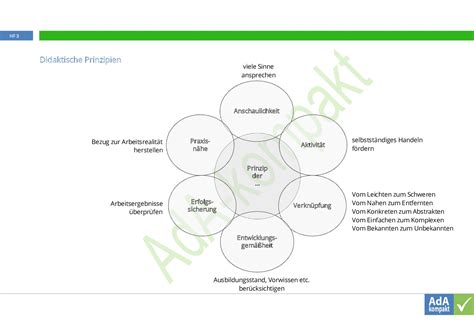 Didaktische Prinzipien Ada Kompakt