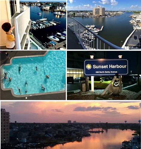 Sunset Harbour Home Page Deeez