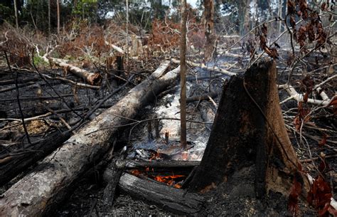 亚马逊森林大火已持续燃烧16天 地区