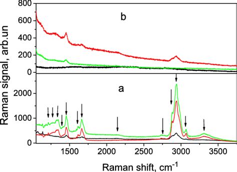 Raman Spectra Of Non Conjugated A And Bioconjugated B Cdsezns Qds Download Scientific