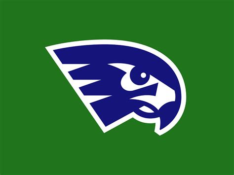 Seahawk Logo by Will Dove on Dribbble