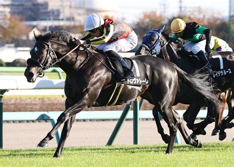 【葉牡丹賞】トロヴァトーレ無傷2連勝 ビュイック「ダービー候補の一頭として名乗りを上げる馬」 ライブドアニュース