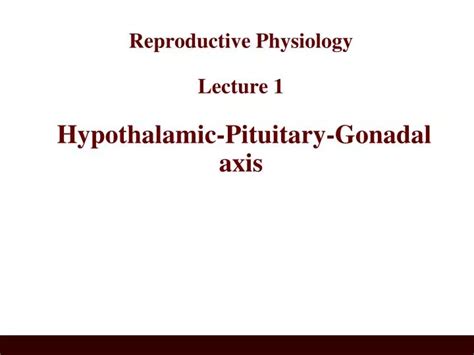 Ppt Reproductive Physiology Lecture 1 Hypothalamic Pituitary Gonadal