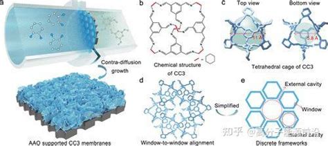 《jacs》具有分级通道的高离子选择性多孔有机笼膜 知乎