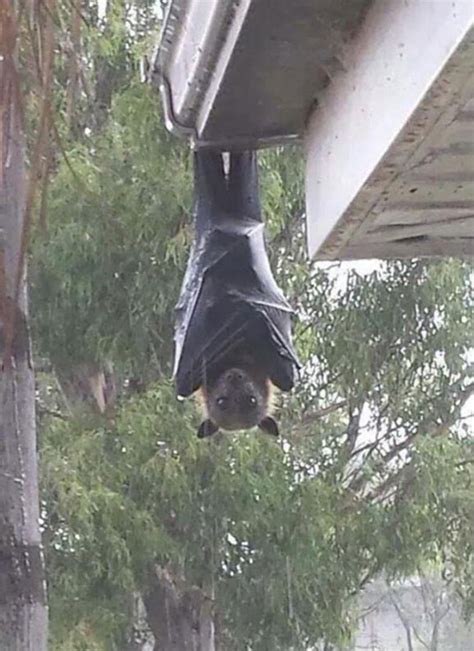 Australia Is The Land Of 'Nope', And Here Are 40 Pics Proving It ...