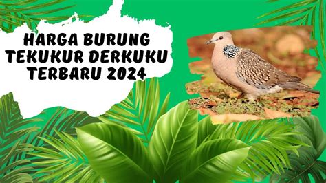 Harga Burung Tekukur Derkuku Terbaru 2024 YouTube