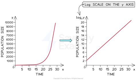 Population Growth Curves Ib Biology Revision Notes