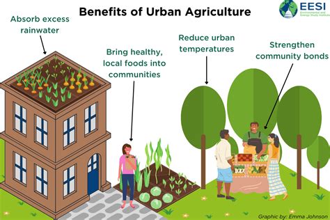 Historic Urban Agriculture Funding Put To Use In Communities Nationwide