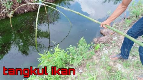 Belajar Nangkap Ikan Pakai Tangkul Youtube