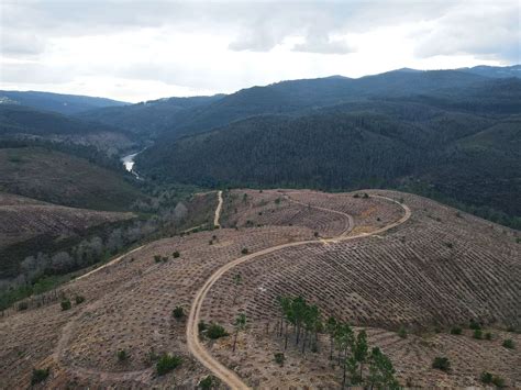 Paradan A Projeto Pdr Secretariado Dos Baldios De Tr S Os