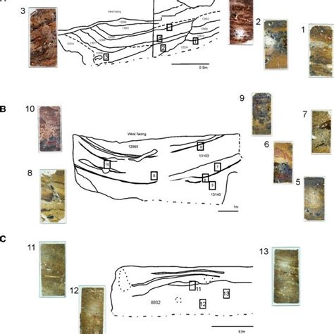 area midden space  showing  pit  full excavation
