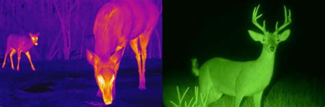 Whats The Difference Between Night Vision And Thermal Vision