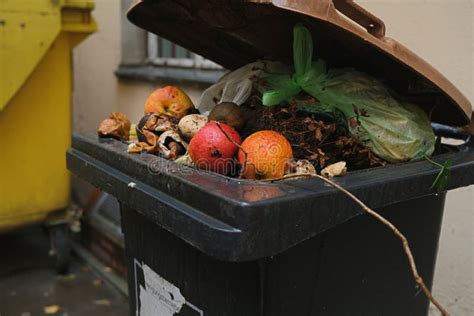 Organic Waste Bin Filled With Kitchen Waste Stock Photo Image Of