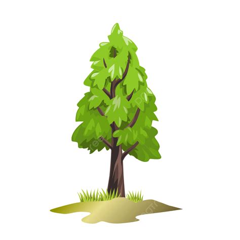 Clipart Pohon Cemara Vektor Merapikan Pinus Pohon Cemara Png Dan