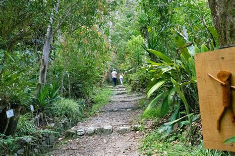 Las Cataratas Y Jardines De Mandor En Machu Picchu