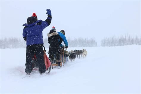 Alaska Mushing School | Sled Dog Tours in Big Lake, AK | ALASKA.ORG