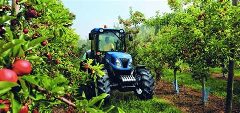 Cider Industry Seeks Support For A Cut In Cider Duty At Parliamentary