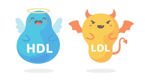 Premium Vector Hdl And Ldl Cholesterol Cartoon Good Fat And Bad Fat