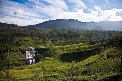 15 Things To Do In Nuwara Eliya Holidify