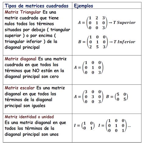 Matrices Y Determinantes Ejercicios Resueltos Trucos Profesor