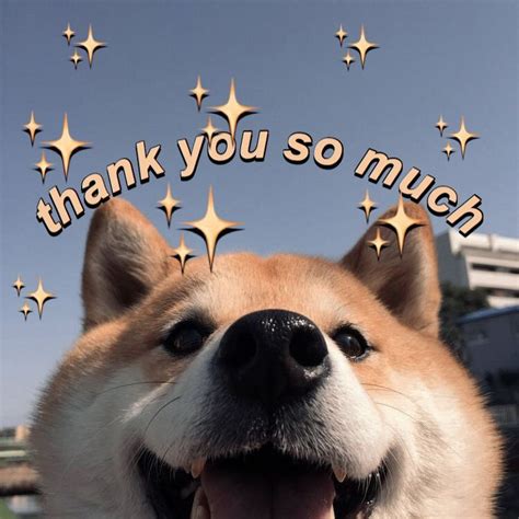 Thank You Dog Meme