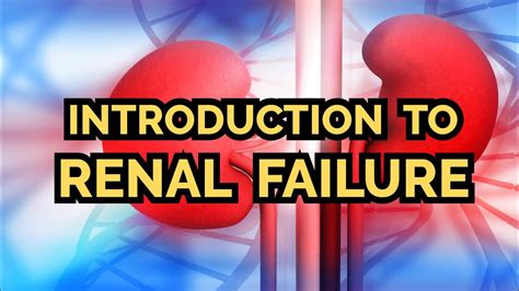 Introduction To Acute Renal Failure Updated 2023 Crash Medical