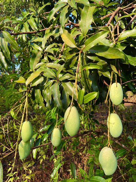 Jezelle's Vlog - Jezelle's Vlog added a new photo.